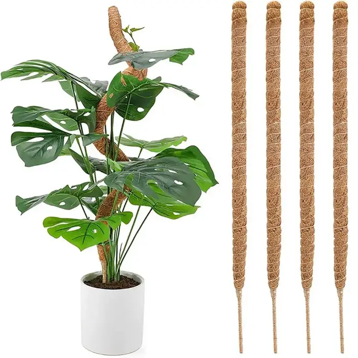 Canne à palmier pliable pour plantes grimpantes