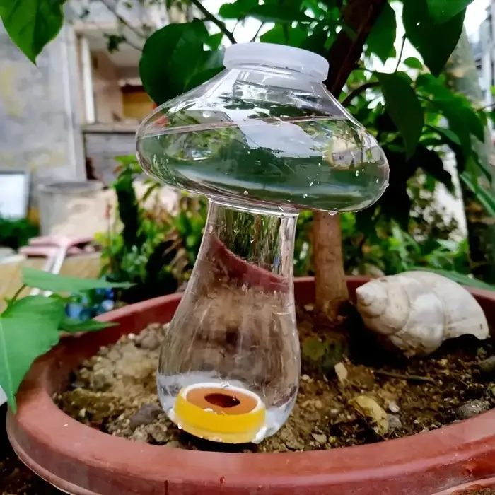 Arrosage planteur insérer amour en forme automatique plante abreuvoir pulvérisateur eau goutte