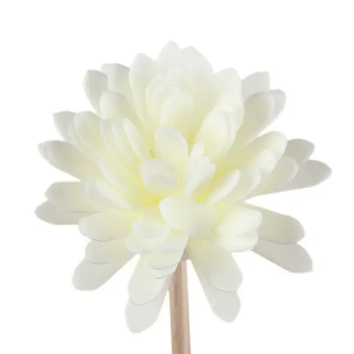 Diffuseur d'huile aromatique désodorisant diffuseur de parfum aromathérapie rotin aromathérapie diff