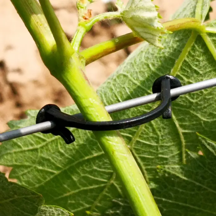 Pince de fixation pour plante de vigne, 1700 pièces, Clip de fixation pour vigne de raisin Kiwi, fle