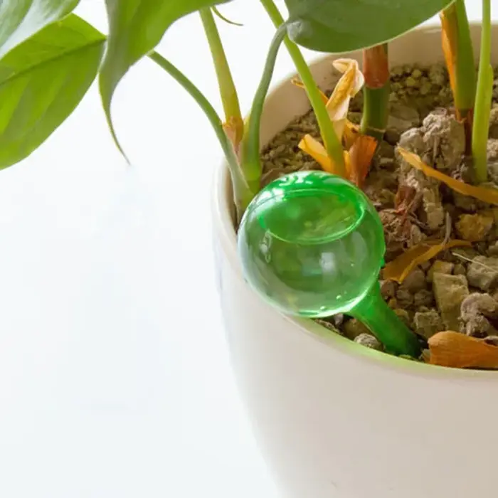 Ampoules d'arrosage automatique pour plantes