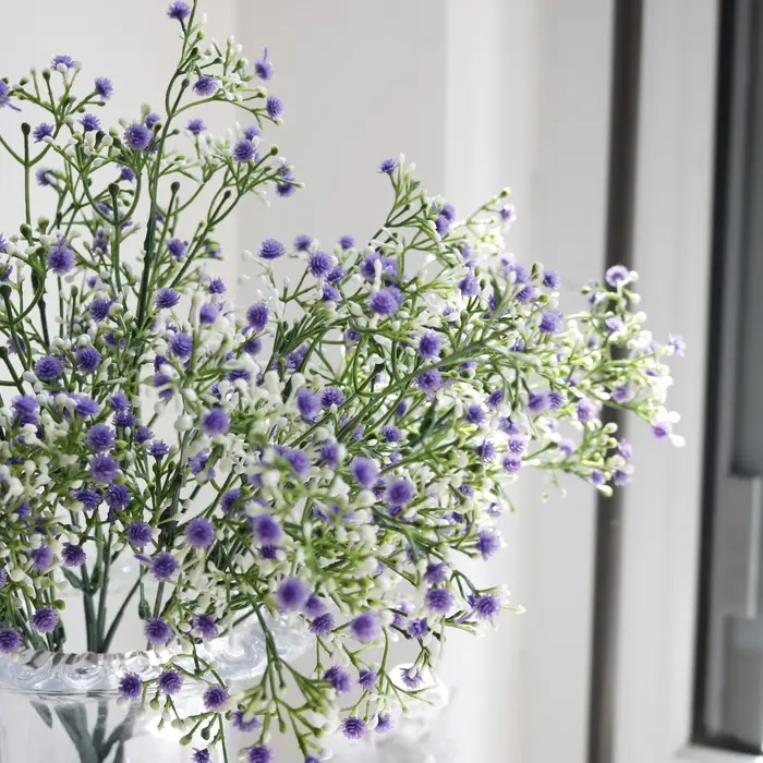 Bouquet de pouvez-vous psophila en Plastique
