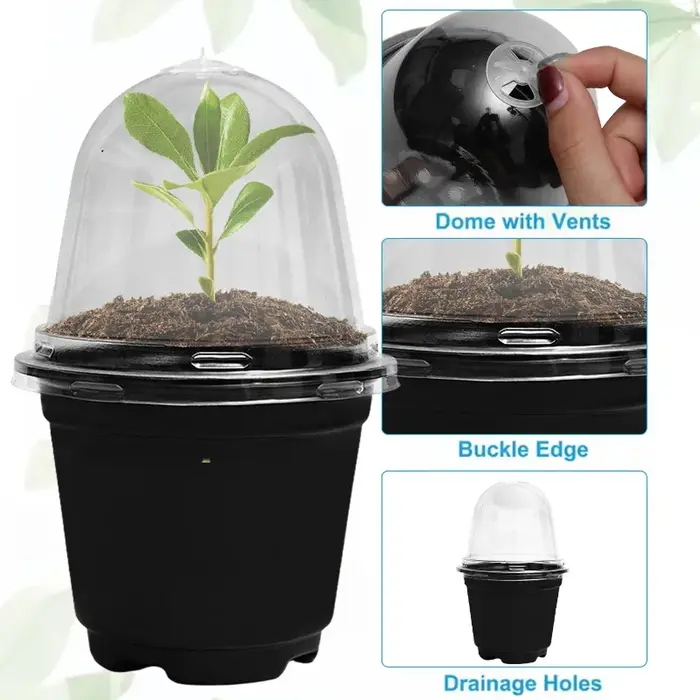 Pots de pépinière de semis