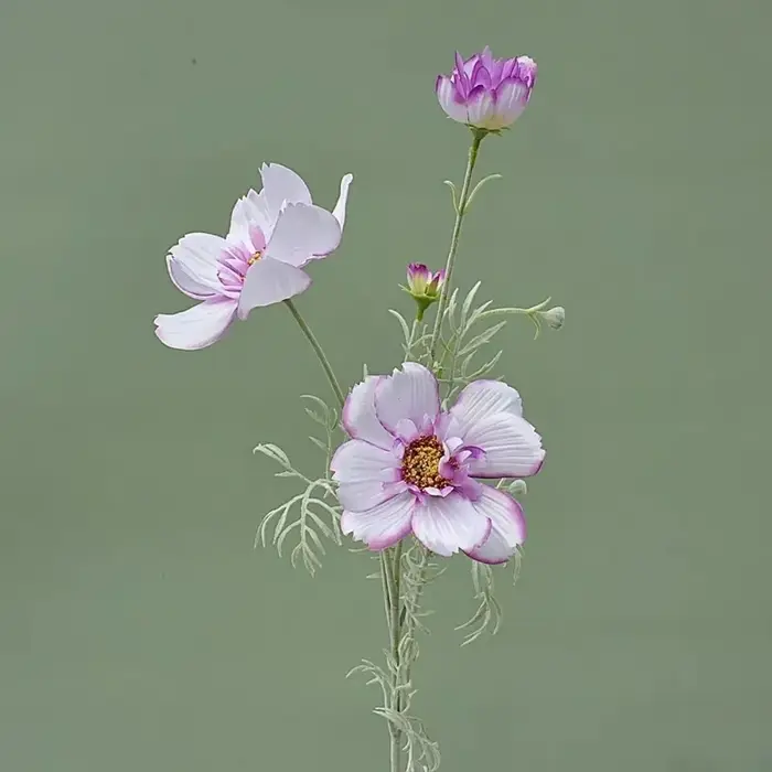 Branche de fleur artificielle Cosmos de 77 cm de longueur