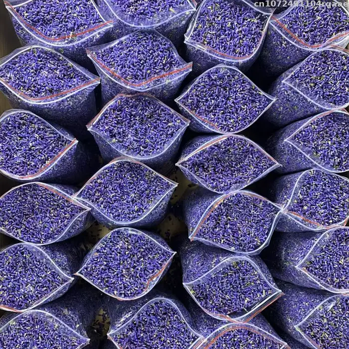 Fleurs séchées SnapLavender