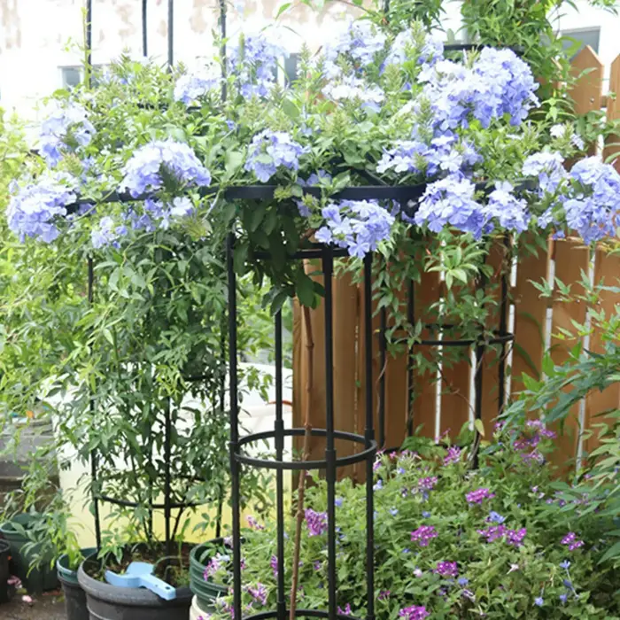 Treillis pour plantes grimpantes