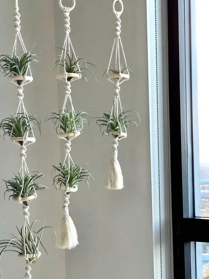 Cintres Muraux en Macramé pour Plantes à Air