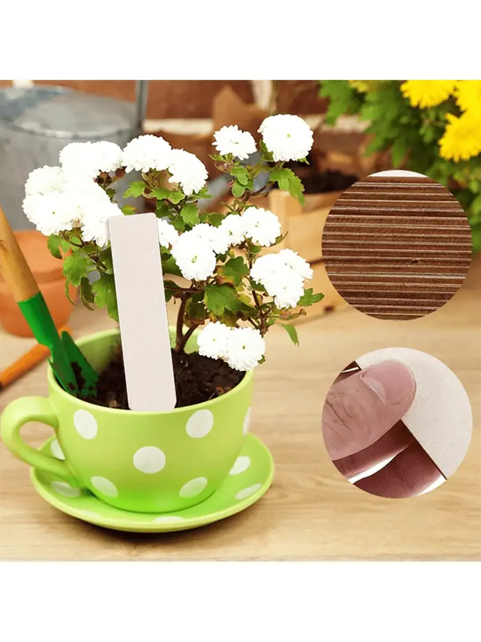 Étiquettes pour plantes de 4 pouces