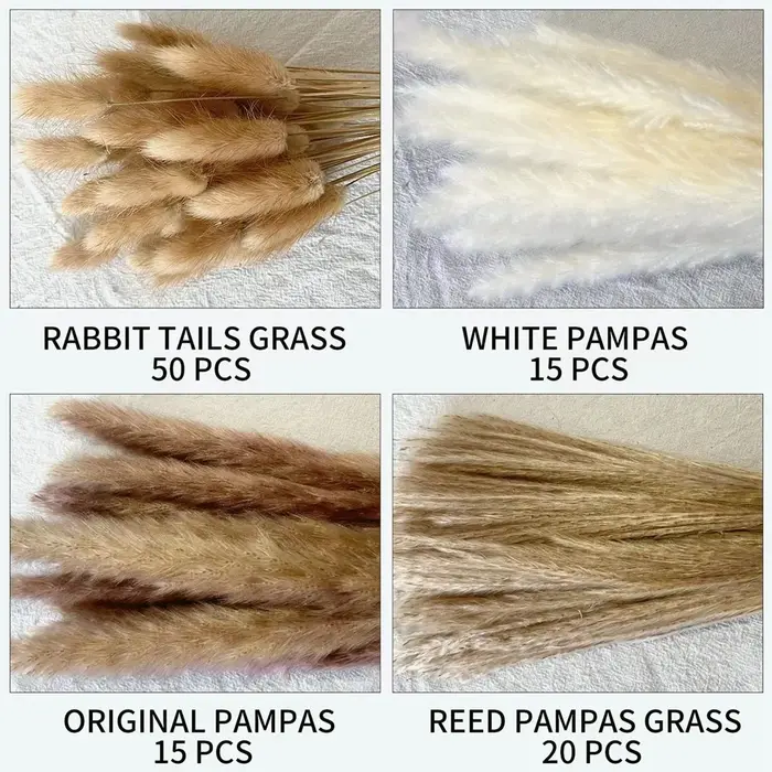 100 pièces/lot crème Pampas herbe moelleux chambre Phragmites décoration naturel lapin queue