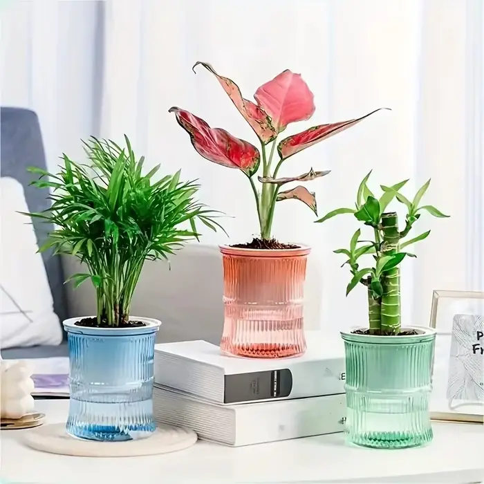 Pot de fleurs auto-arrosant transparent à double couche