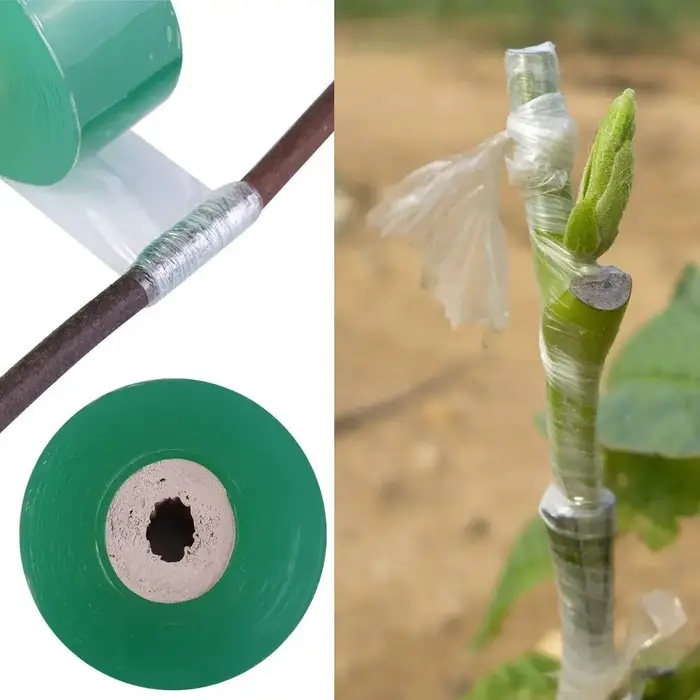 100/600M PE greffage bande Film extensible auto-adhésif jardin arbre rouleau