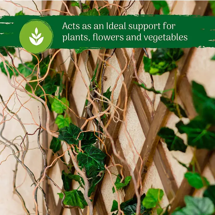 Treillis d'Escalade Extensible pour Plantes Grimpantes