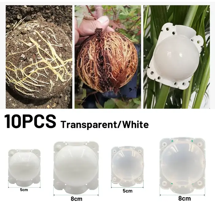 Boule d'enracinement de plantes, 10 pièces, boîte d'élevage de greffe à haute pression, boîte de pép