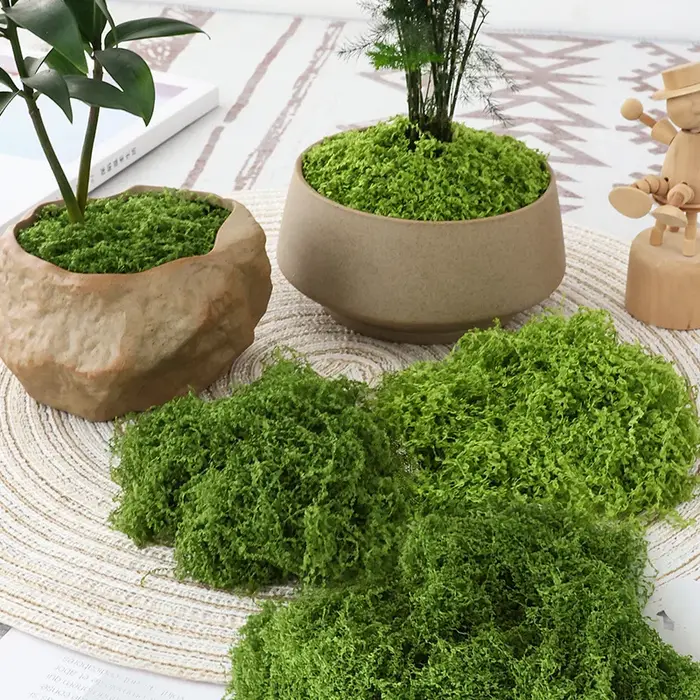 Plantes vertes artificielles