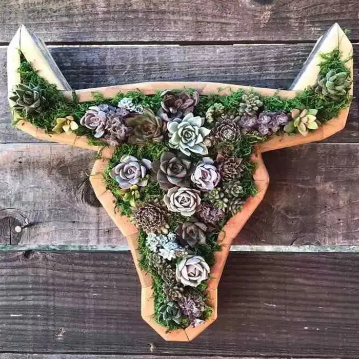 Pots de fleurs succulentes en bois en forme d'animal