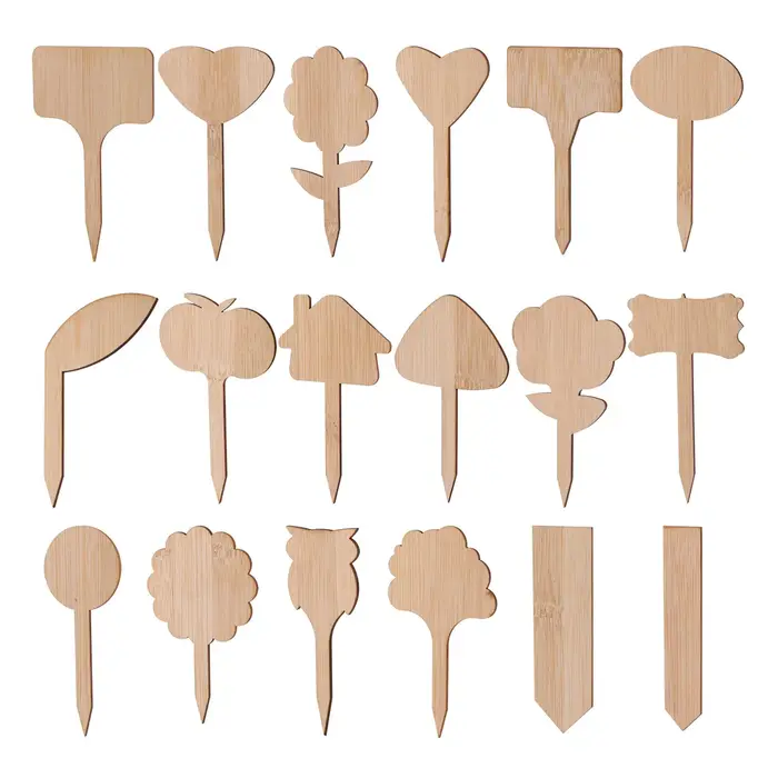Étiquettes de plantes en bois, marqueurs de jardin multi-type en bambou, graines de bonsaï, fleur en pot, outil pour plantes succulentes, 5/50 pièces