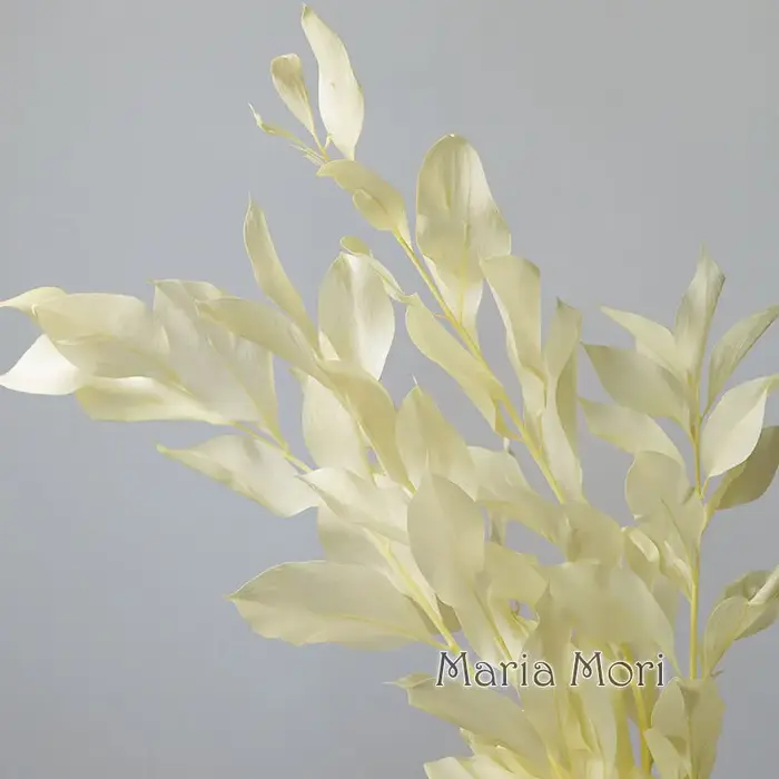 5 pièces/fleur conservée de blanchiment séché feuilles d'orange lys bambou pour arrangement floral fait à la main bureau maison décoration de mariage