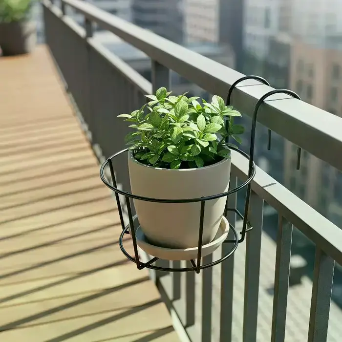 Supports en fer pour plantes suspendues
