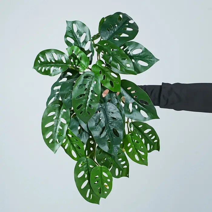 Feuille de Caladium Monstera artificielle de 20 pouces