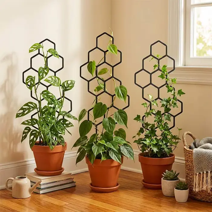 Support pour Plantes Grimpantes pour Balcon