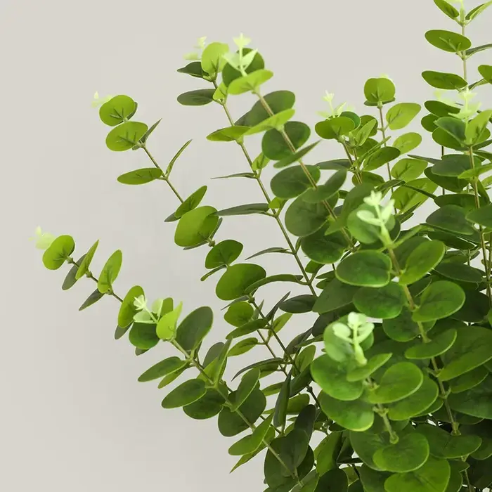 Feuilles d'eucalyptus artificielles