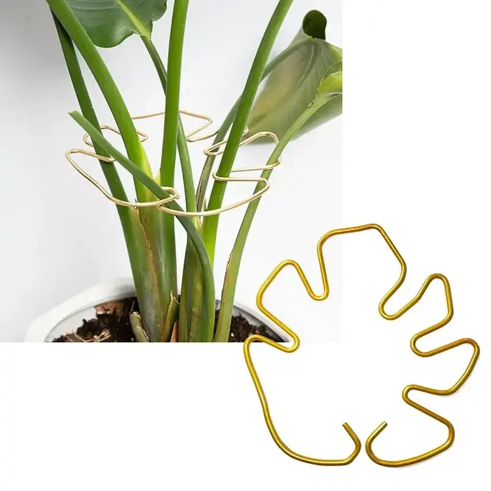 Poteau de support de plante en forme de Monstera