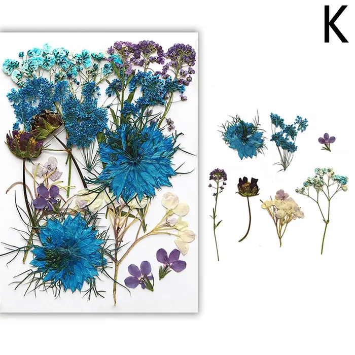 Fleurs séchées véritable plante naturelle pressée fleur pour résine époxy remplissage bricolage Nail Art artisanat