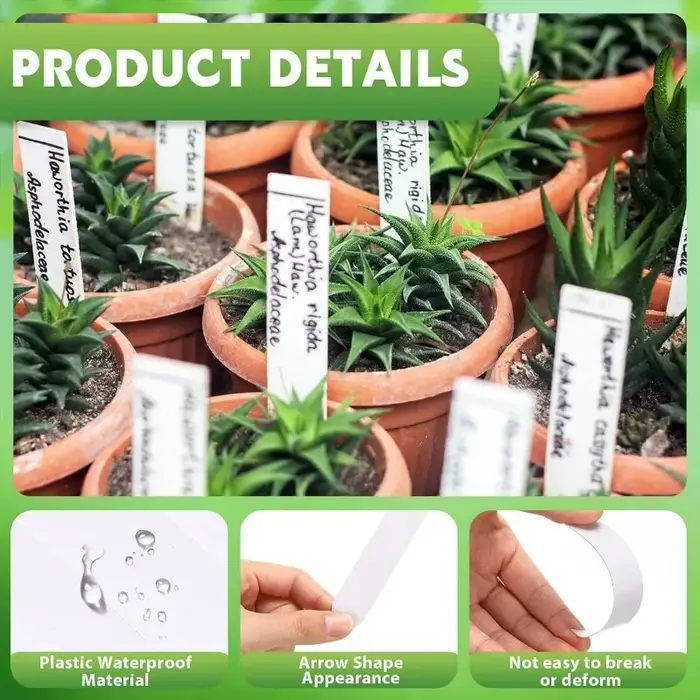 Étiquettes de plantes en plastique 100/300x