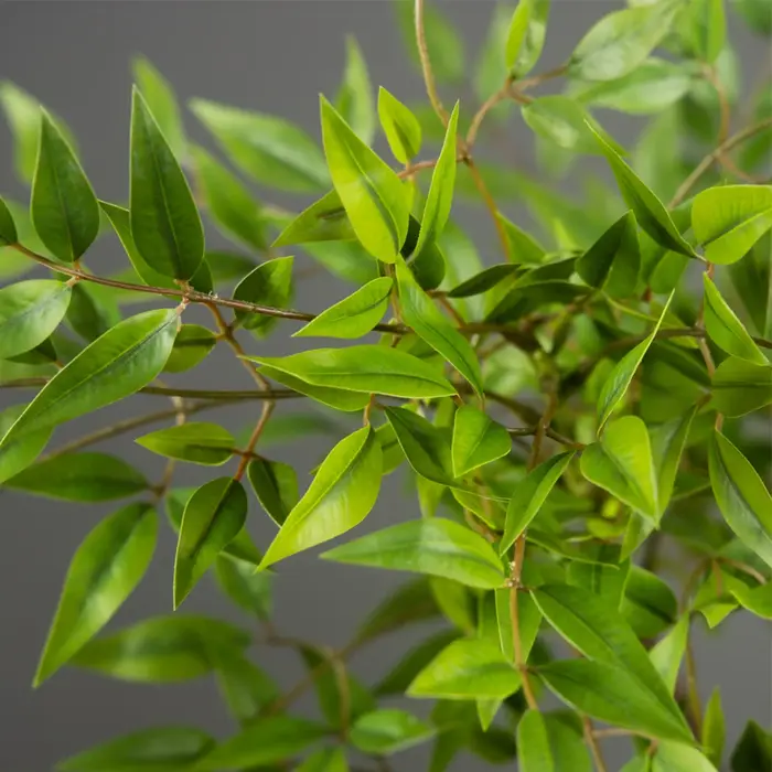 Plantes Nandina artificielles de 75 à 140cm de haut