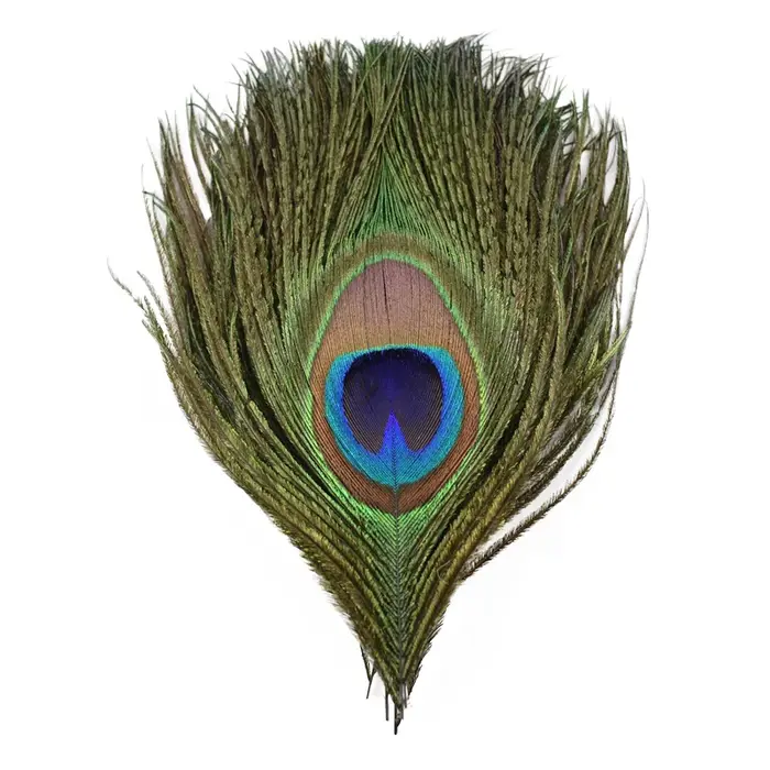 Plumes de paon naturelles, œil pour la fabrication de bijoux, artisanat de mariage, accessoires attr
