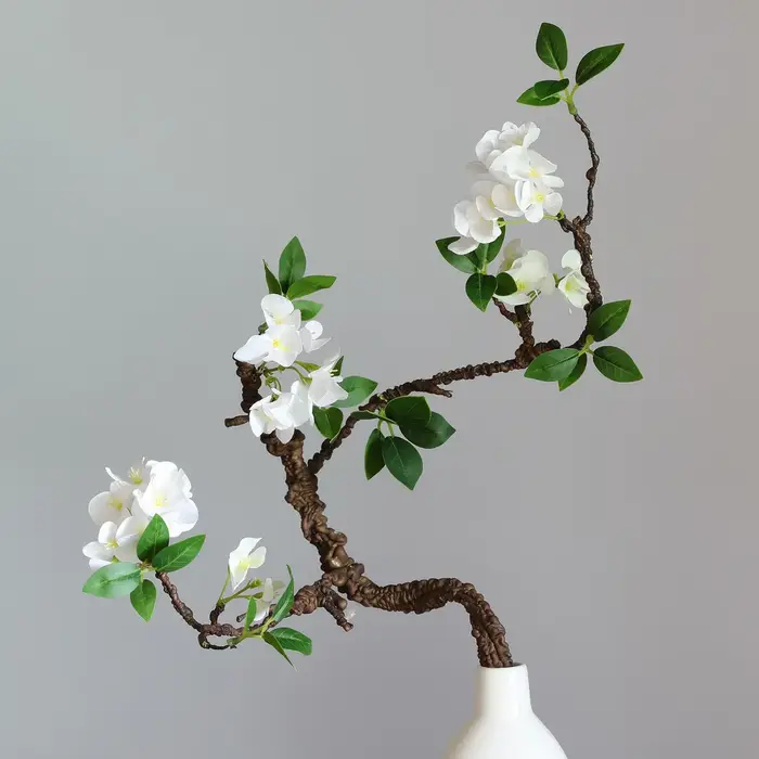 Nouvelle brindille d'arbre flétri
