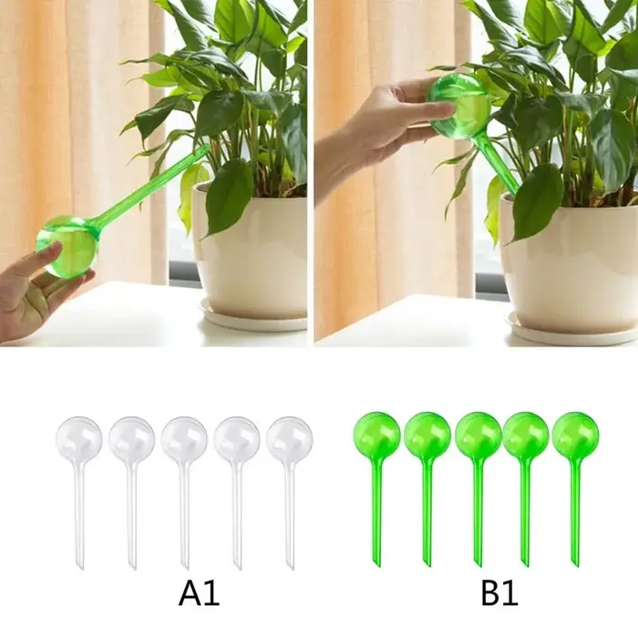 Ampoules d'arrosage automatique pour plantes