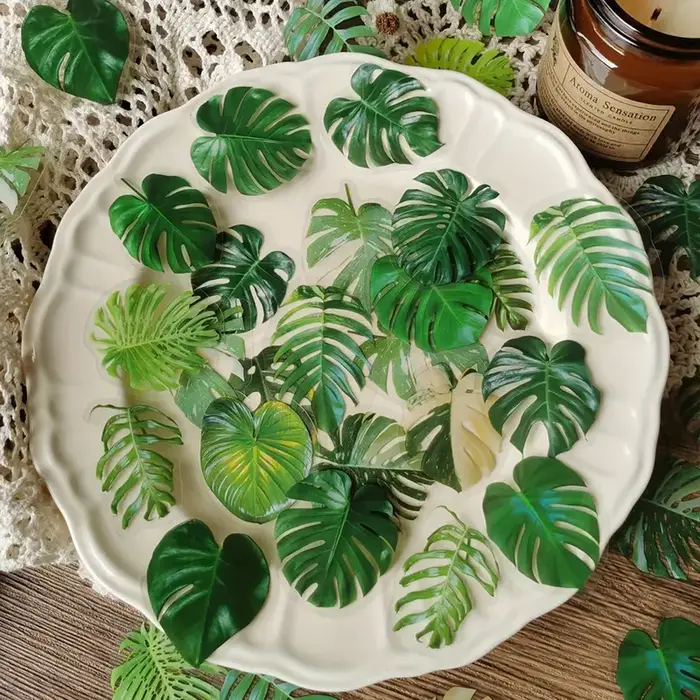 Autocollants transparents en PET pour plantes
