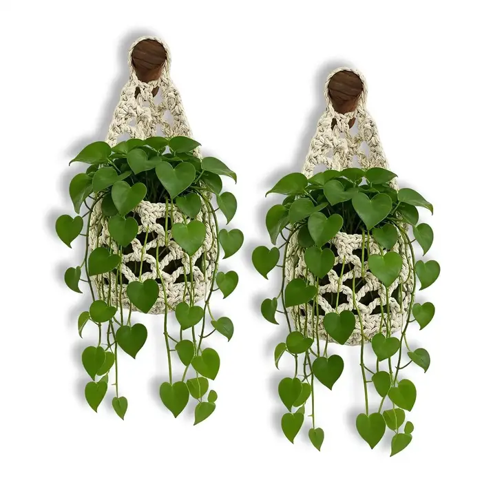 Panier suspendu en macramé bohème pour plantes succulentes