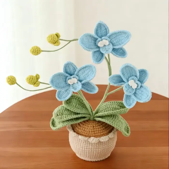 Nouvelle plante en pot en laine