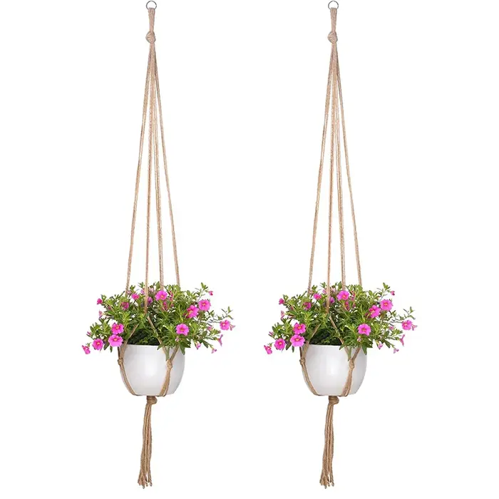 Pot de plantes suspendu