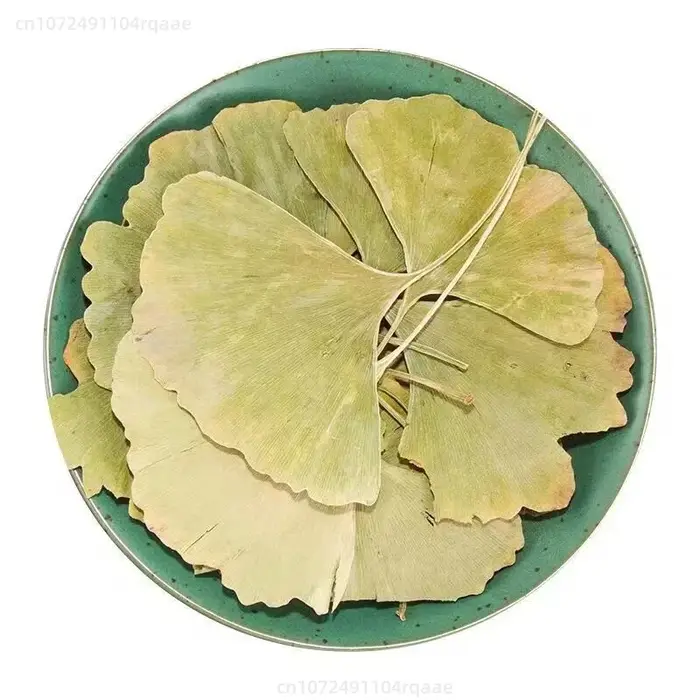 100/250/500g Feuilles de Ginkgo Biloba Séchées Naturelles Pour Remplissage de Vases, Artisanat, Arra