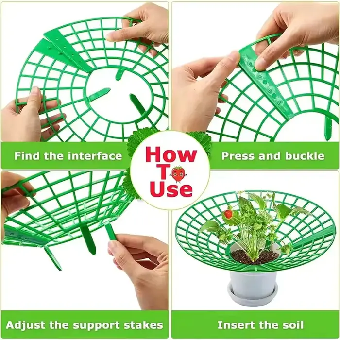 Supports pour plantes à fraises