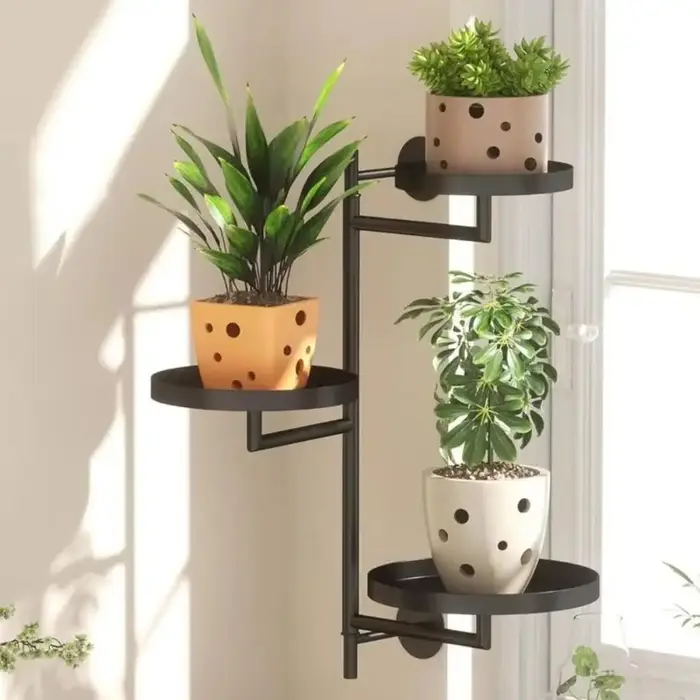 Support de plantes rotatif pour fenêtre