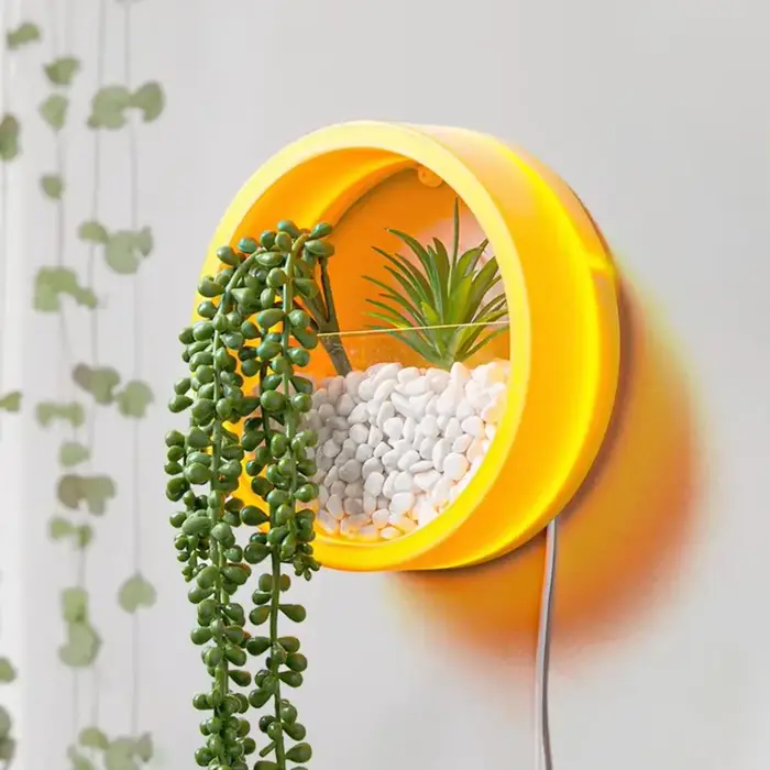 Jardinière succulente ronde