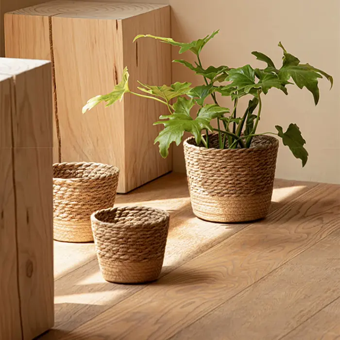 Panier de rangement en rotin tressé pour plantes