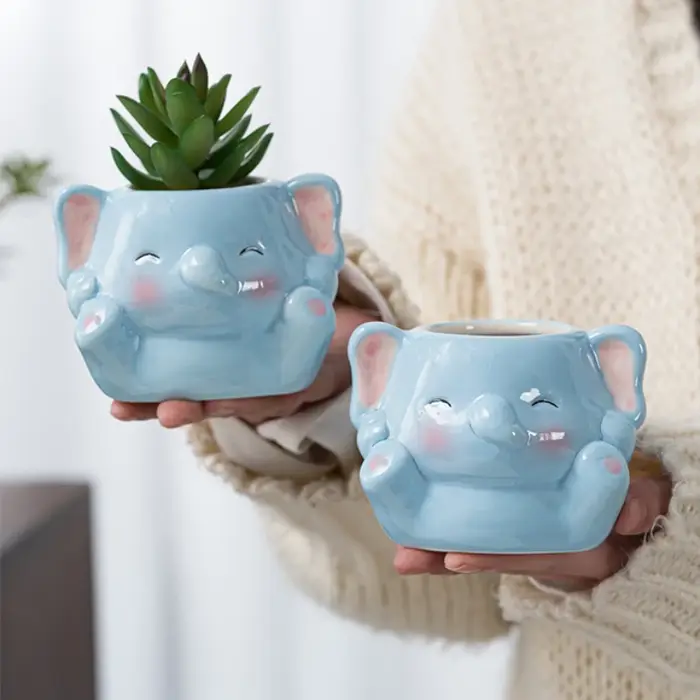 Jardinière succulente en céramique multifonction