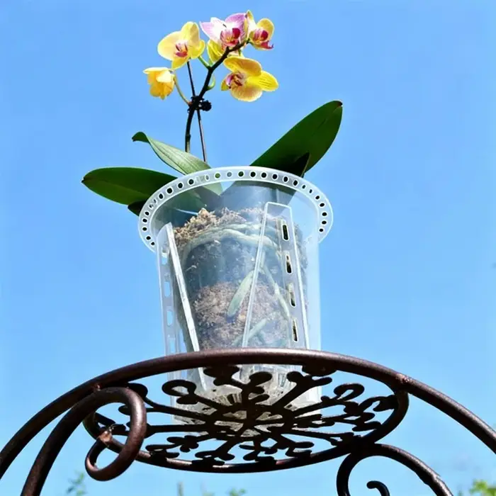 Pot de fleurs transparent 5/1x pour semis
