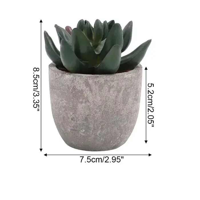 Mini plantes artificielles à l'aloe vera