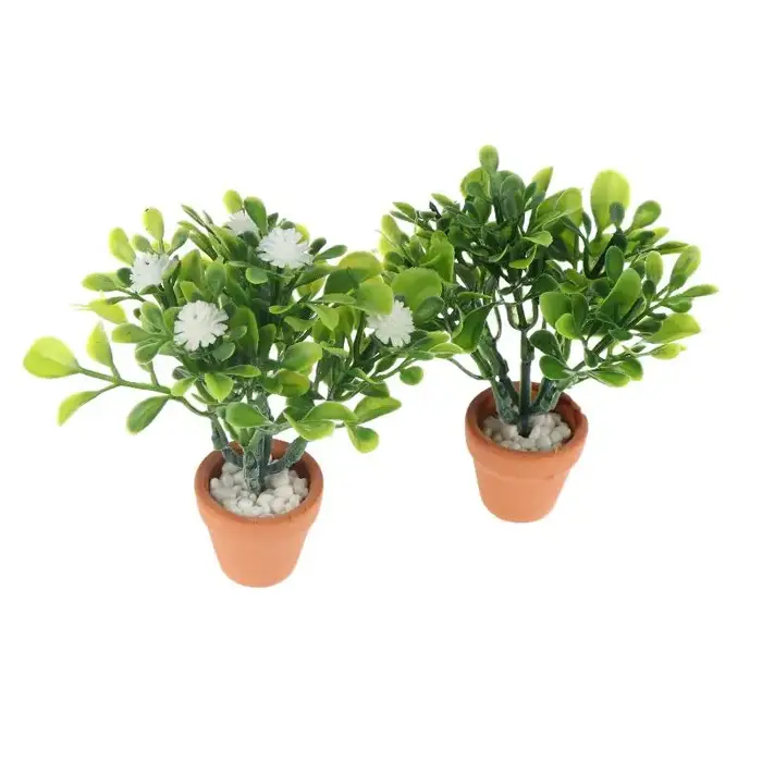 Miniature de fleur blanche et de plante verte en pot