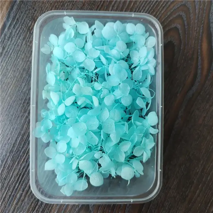 Couverture en verre de fleur préservée de la vie éternelle d'hortensia Anna