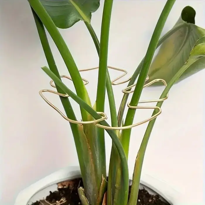 Support de plante suspendu avec crochets en fer