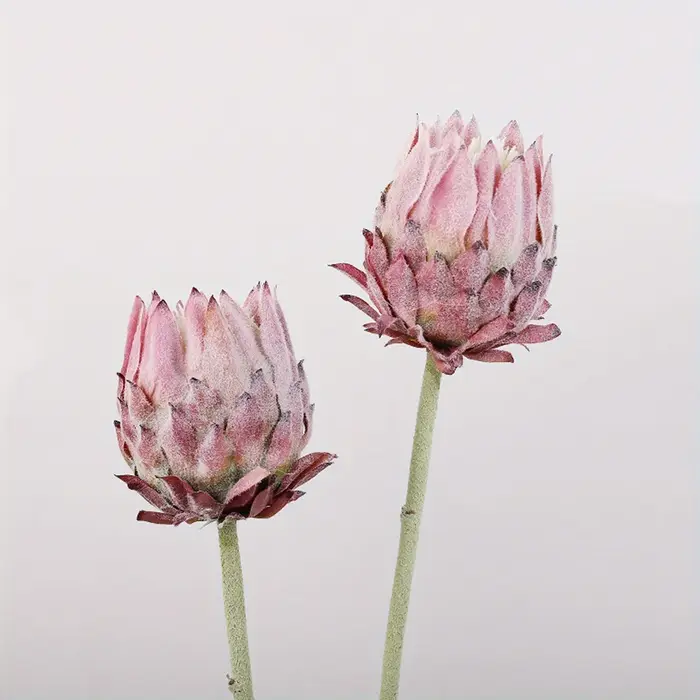 2 pièces de fleurs artificielles en chardon nordique, fleurs d'empereur, fleurs pour mariage et fian