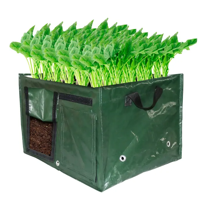 Sac de plantation pour culture de légumes et de fleurs, lit de plantation, support de plantation, sa