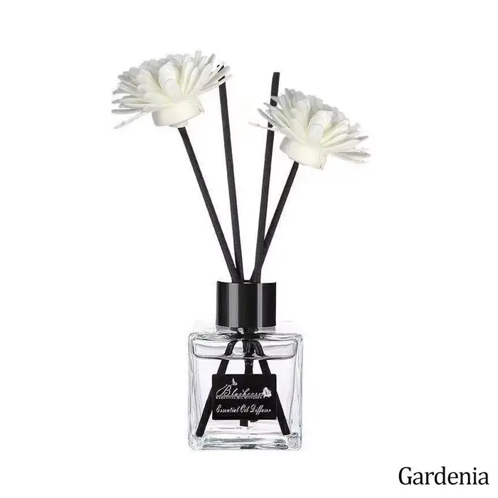 Désodorisant d'air à l'extrait végétal, liquide aromatique longue durée, huile diffuseur d'arômes pr
